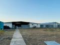 Сельское хозяйство · 80000 м² за 50 млн ₸ в  — фото 5