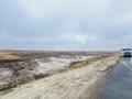 Жер телімі · 1 га, Таскала, бағасы: 18 млн ₸ — фото 8