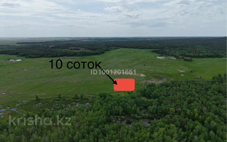 Жер телімі · 10 сотық, Ақкөл, бағасы: 7.5 млн ₸ в Акколе — фото 7