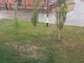 2-комнатная квартира · 44 м² · 2/2 этаж, Пушкина 20 — Больничный городок за 6.9 млн ₸ в Есиль — фото 8