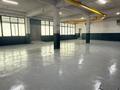 Промбаза · 12 соток, Суюнбая 75 — ПОСЛЕ РЕМОНТА за 4.5 млн ₸ в Алматы, Жетысуский р-н — фото 3