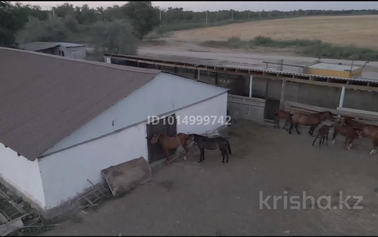Жер телімі · 6 га, Не доезжая село Бырлыкустем — Не доезжая село Бырлыкустем вдоль асфальта, бағасы: 35 млн ₸ в Шу — фото 2