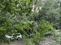 1-комнатная квартира · 40.4 м² · 2/5 этаж, ул. Кабанбай батыра за 52 млн ₸ в Алматы, Медеуский р-н — фото 11