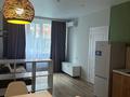 2-бөлмелі пәтер · 45 м² · 1/12 қабат, Сатпаева — Туркебаева, бағасы: 350 000 ₸ в Алматы, Бостандыкский р-н — фото 29