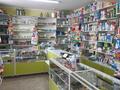 Магазины и бутики • 130 м² за 15 млн 〒 в Быструхе