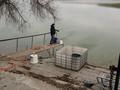 Жеке үй · 3 бөлме · 163 м² · 15 жүзд., Нижнее теректы 24 — По капчагайской трассе, озеро ащибулак, 18 км от города, бағасы: 50 млн ₸ в  — фото 50