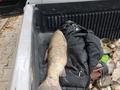 Жеке үй · 3 бөлме · 163 м² · 15 жүзд., Нижнее теректы 24 — По капчагайской трассе, озеро ащибулак, 18 км от города, бағасы: 50 млн ₸ в  — фото 73