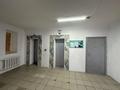 2-бөлмелі пәтер · 60 м² · 9/9 қабат, Кудайбердыулы 31, бағасы: 25.8 млн ₸ в Астане, Алматы р-н — фото 9