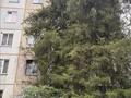 3-комнатная квартира · 61 м² · 5/5 этаж, Радостовца за 40 млн ₸ в Алматы, Алмалинский р-н — фото 9