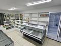 Жеке үй · 4 бөлме · 200 м² · 10 жүзд., Аламан 18, бағасы: 29.5 млн ₸ в Круглоозерном — фото 18