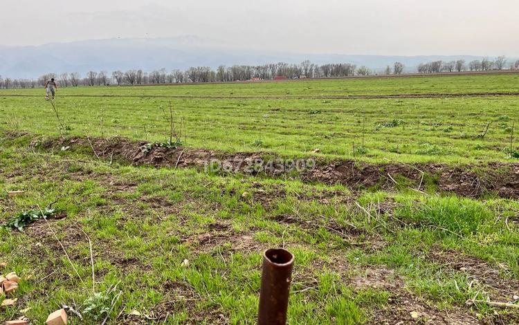 Участок · 8 соток, Кенесары — Кенесары за ~ 4.1 млн ₸ в Узынагаш — фото 5
