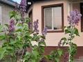 Отдельный дом · 4 комнаты · 250 м² · 10 сот., Мкр шыгыс 2 за 72 млн 〒 в Туздыбастау (Калинино)