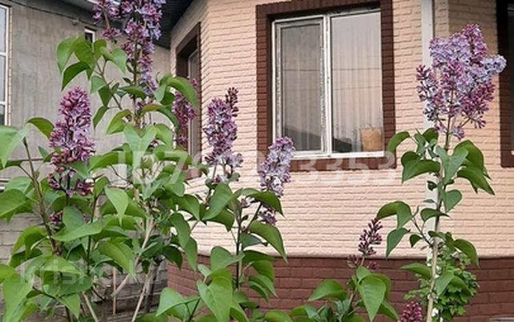 Отдельный дом · 4 комнаты · 250 м² · 10 сот., Мкр шыгыс 2 за 72 млн 〒 в Туздыбастау (Калинино) — фото 11