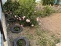 Отдельный дом · 3 комнаты · 50 м² · 6 сот., Казахстанская 13 — Село Ново Азовое за 3.5 млн ₸ в Таврическом — фото 8