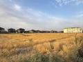 Жер телімі · 33 га, 15 микр 36, бағасы: 79 млн ₸ в Таразе — фото 3