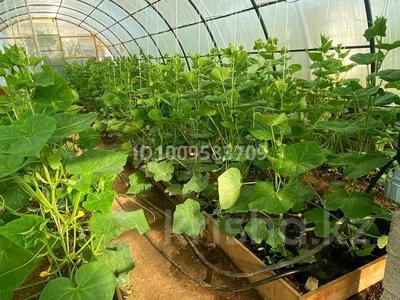 Жеке үй · 2 бөлме · 200 м² · 15 жүзд., Өскен 47, бағасы: 95 000 ₸ в Уральске