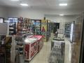 Магазины и бутики · 500 м² за 260 млн ₸ в Алматы, Алмалинский р-н — фото 2