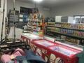 Магазины и бутики · 500 м² за 260 млн ₸ в Алматы, Алмалинский р-н — фото 6