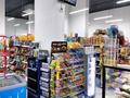 Продуктовый магазин · 143 м² за 35 млн ₸ в Астане, Нура р-н — фото 7