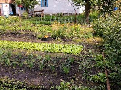 Дача · 2 комнаты · 34.7 м² · 6 сот., Грушевая 44 за 5.5 млн 〒 в Усть-Каменогорске