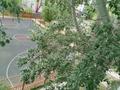 2-бөлмелі пәтер · 41.8 м² · 4/5 қабат, Куйши Дина 5/1 — Орбита, Евразия,Мед.центр,Эмирмед,Магнум,Гиппократ,школы 23,30,50, бағасы: 21.3 млн ₸ в Астане, Алматы р-н — фото 7