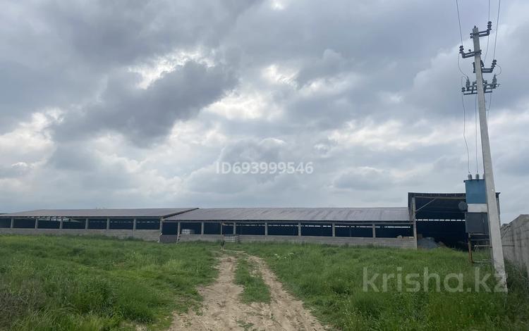 Сельское хозяйство • 1650 м² за 60 млн 〒 в Енбекши — фото 2