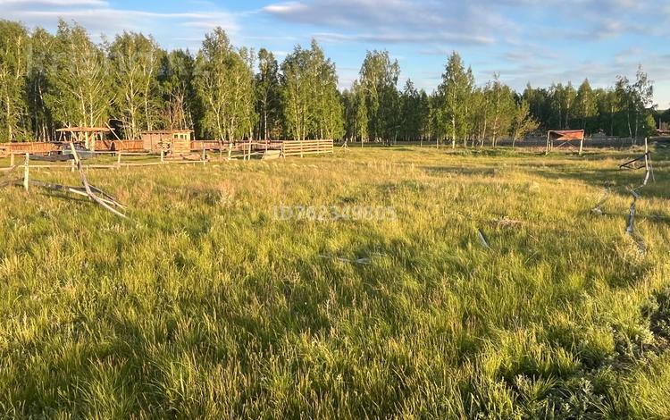Жер телімі · 20 сотық, Брусиловского, бағасы: 4 млн ₸ в Бишкуле — фото 12