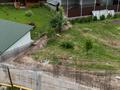 Участок · 8 соток, СТ Здоровье 78 за 105 млн ₸ в Алматы, Медеуский р-н — фото 6