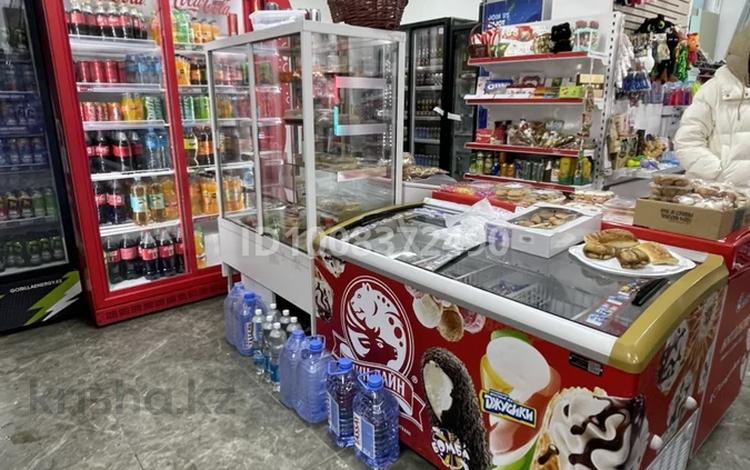 Еркін, дүкендер мен бутиктер, қоғамдық тамақтану орны, сұлулық салондары, медорталықтар мен дәріханалар, білім орталықтары, ойын-сауық · 162 м², бағасы: 184 млн 〒 в Астане — фото 29