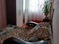 4-бөлмелі пәтер · 75.6 м² · 2/5 қабат, Майкудук — школа 17, бағасы: 24.7 млн ₸ в Караганде, Алихана Бокейханова р-н — фото 20