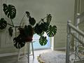 Отдельный дом · 10 комнат · 400 м² · 15 сот., 4 квартал 78/2 за 85 млн ₸ в  — фото 78