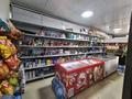 Мини-маркете, жилой дом и овощной на одном участке · 180 м² за 130 млн ₸ в Алматы, Жетысуский р-н — фото 20