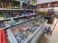 Мини-маркете, жилой дом и овощной на одном участке · 180 м² за 130 млн ₸ в Алматы, Жетысуский р-н — фото 22