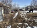 Отдельный дом · 4 комнаты · 55 м² · 16 сот., Пригородный ул.Жаксылык 18 за 12 млн ₸ в Талдыкоргане — фото 12