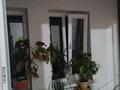 2-комнатная квартира · 54 м² · 2/5 этаж, мкр Север 10 — Находится прямо позади "ТД Север" за 25 млн ₸ в Шымкенте, Аль-Фарабийский р-н — фото 17
