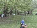 Участок · 15 соток, Қалдаякова 18 за 2.5 млн ₸ в Самсы — фото 7