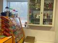 Действующий Продуктовый магазин · 45.1 м², бағасы: 6.9 млн ₸ в Алтае — фото 10