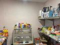 Действующий Продуктовый магазин · 45.1 м², бағасы: 6.9 млн ₸ в Алтае — фото 3