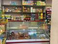Действующий Продуктовый магазин · 45.1 м², бағасы: 6.9 млн ₸ в Алтае — фото 6