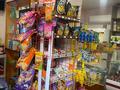 Действующий Продуктовый магазин · 45.1 м², бағасы: 6.9 млн ₸ в Алтае — фото 7