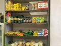 Действующий Продуктовый магазин · 45.1 м², бағасы: 6.9 млн ₸ в Алтае — фото 8