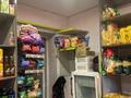 Действующий Продуктовый магазин · 45.1 м², бағасы: 6.9 млн ₸ в Алтае — фото 9