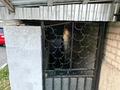 Образование · 130 м² за 10.5 млн ₸ в Талдыкоргане — фото 2