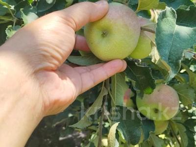 Жеке үй · 4 бөлме · 150 м² · 19 жүзд., Родники ш/а., бағасы: 450 млн ₸ в Алматы, Медеуский р-н