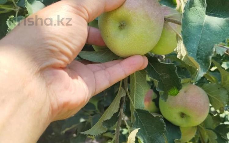 Жеке үй · 4 бөлме · 150 м² · 19 жүзд., Родники ш/а., бағасы: 450 млн ₸ в Алматы, Медеуский р-н — фото 33