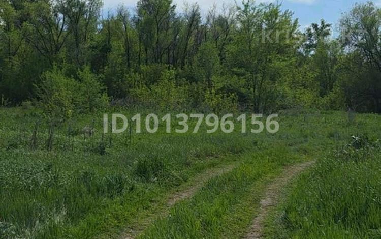 Жер телімі · 125 сотық, Ақтөбе, бағасы: 150 млн ₸ в Актобе — фото 2