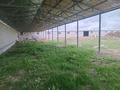Промбаза · 50 соток, Индусталная зона 4 — Возле моста Астана Караганда за 1 млн ₸ в  — фото 16