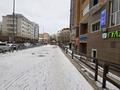 Свободное назначение, офисы, магазины и бутики, салоны красоты · 28 м² за 25 млн ₸ в Астане, р-н Байконур — фото 6