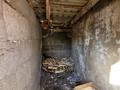 Отдельный дом · 3 комнаты · 150 м² · 536 сот., Лихачева 21/2 за 7 млн ₸ в Новой бухтарме — фото 16