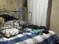 Часть дома · 5 комнат · 88 м² · 2.3 сот., Дектярева 50 — Жансугурова за 33 млн ₸ в Алматы, Жетысуский р-н — фото 13